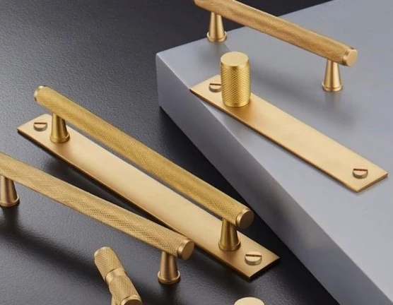 B8835 Bar Pull with Backplate